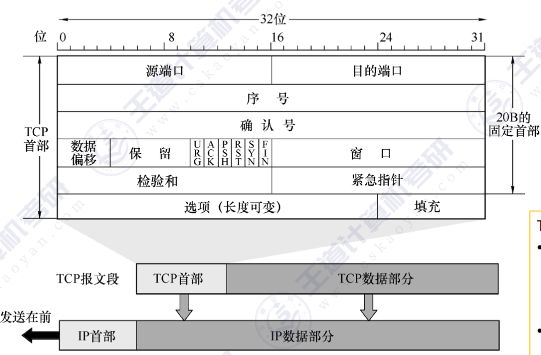 TCP段